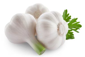 Fresh Garlic