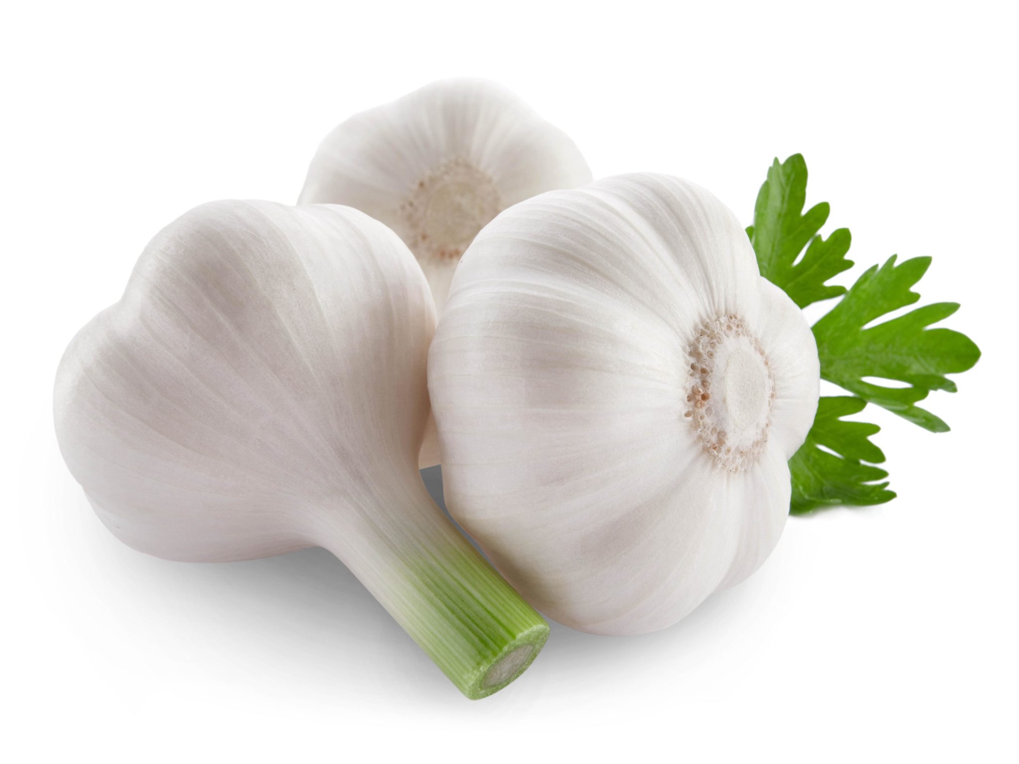 Fresh Garlic