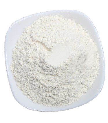 GARLIC POWDER