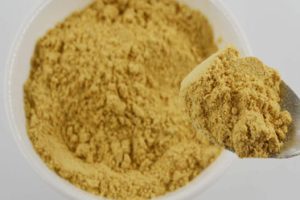 GINGER POWDER